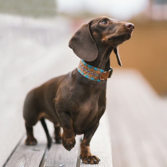 Etna Collar Verde