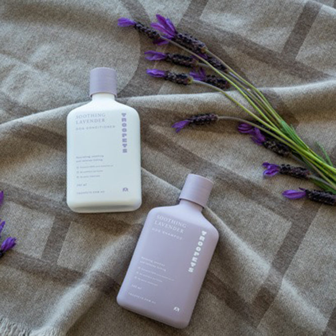 Soothing Lavender Dog Shampoo