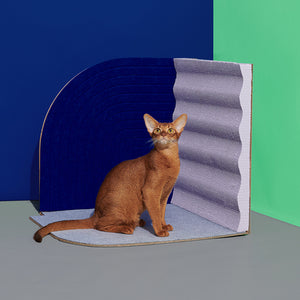 3-Dimensional Cat Scratcher - 2 Colours