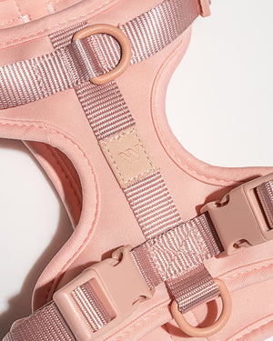 Cushioned Woven Harness-Blush