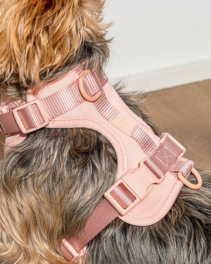 Cushioned Woven Harness-Blush