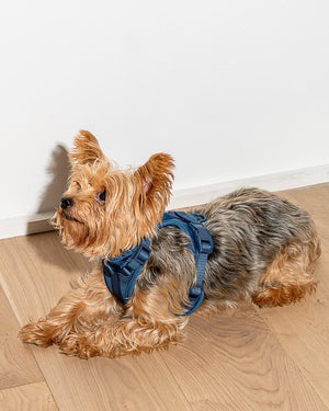 Cushioned Woven Harness-Navy