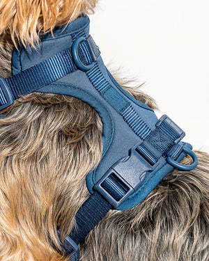 Cushioned Woven Harness-Navy