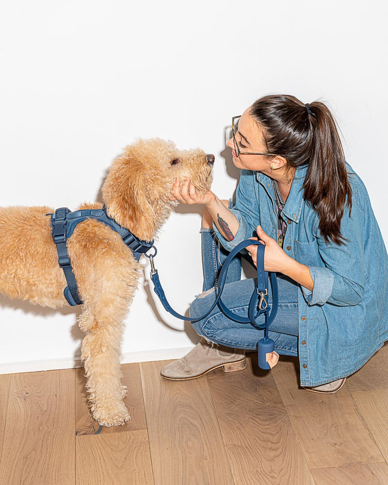 Waterproof Leash-Navy