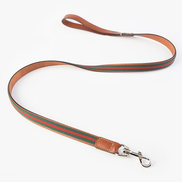 Baseball Leash Verde