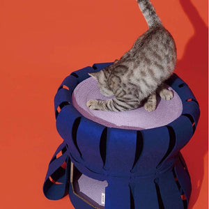 Fortress Traveller Cat House With Scratcher - 2 Colours